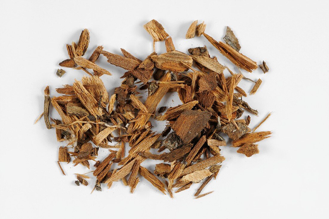 China officinalis