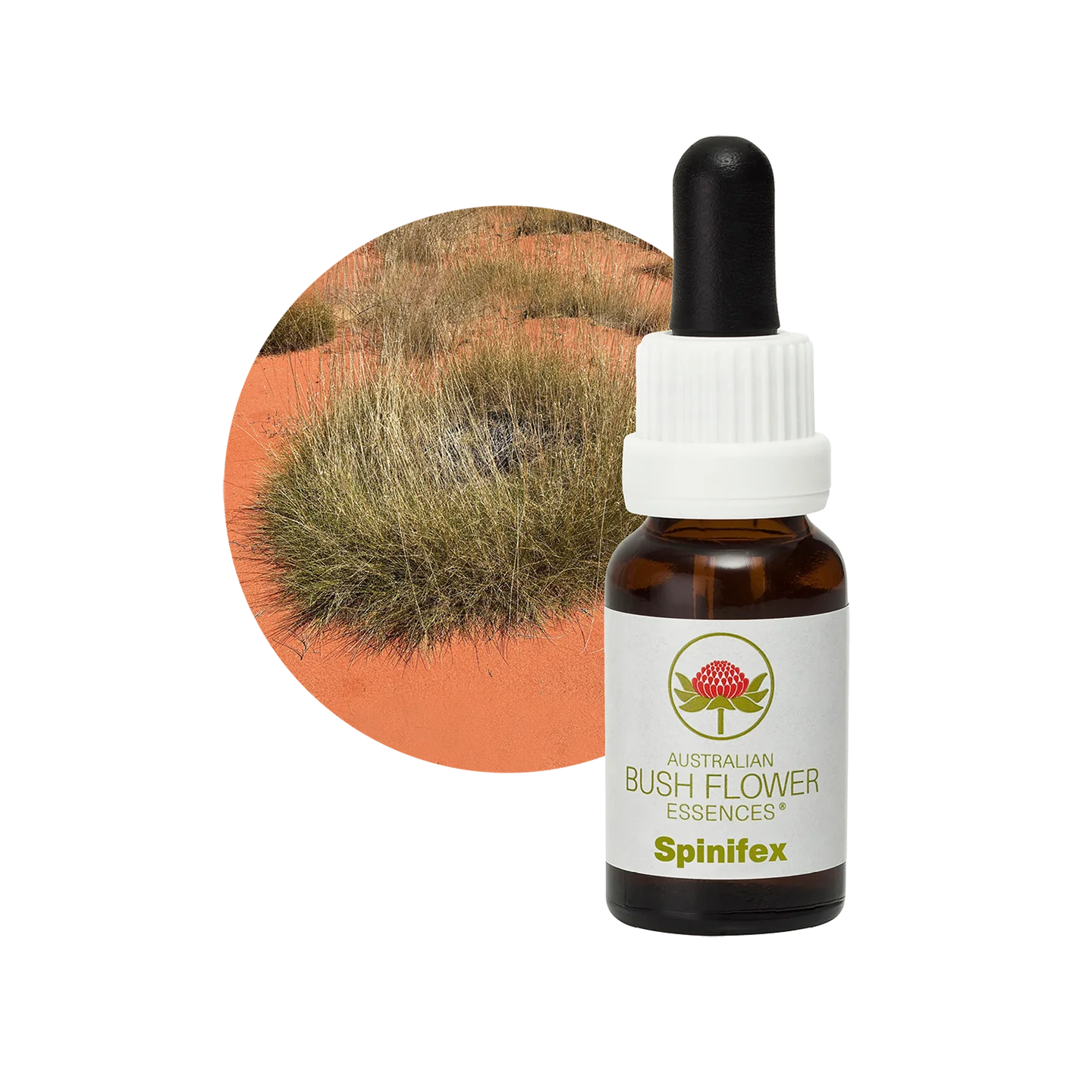 Spinifex 30ml image 0