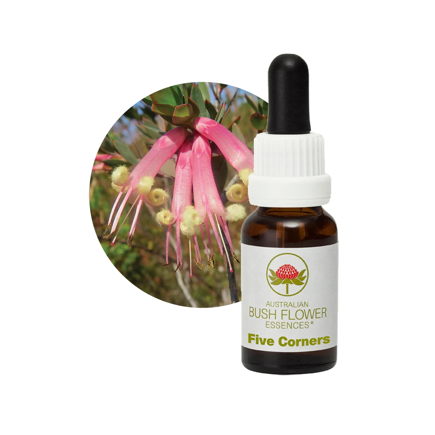 Five Corners 30ml image 0