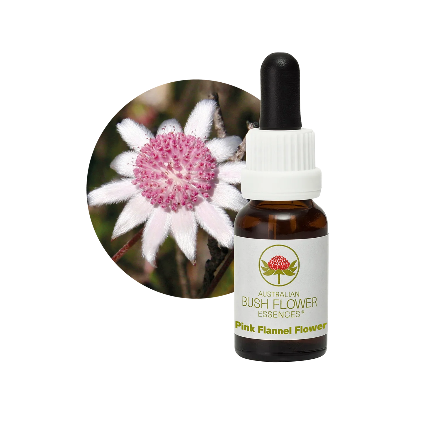 Pink Flannel Flower 30ml image 0