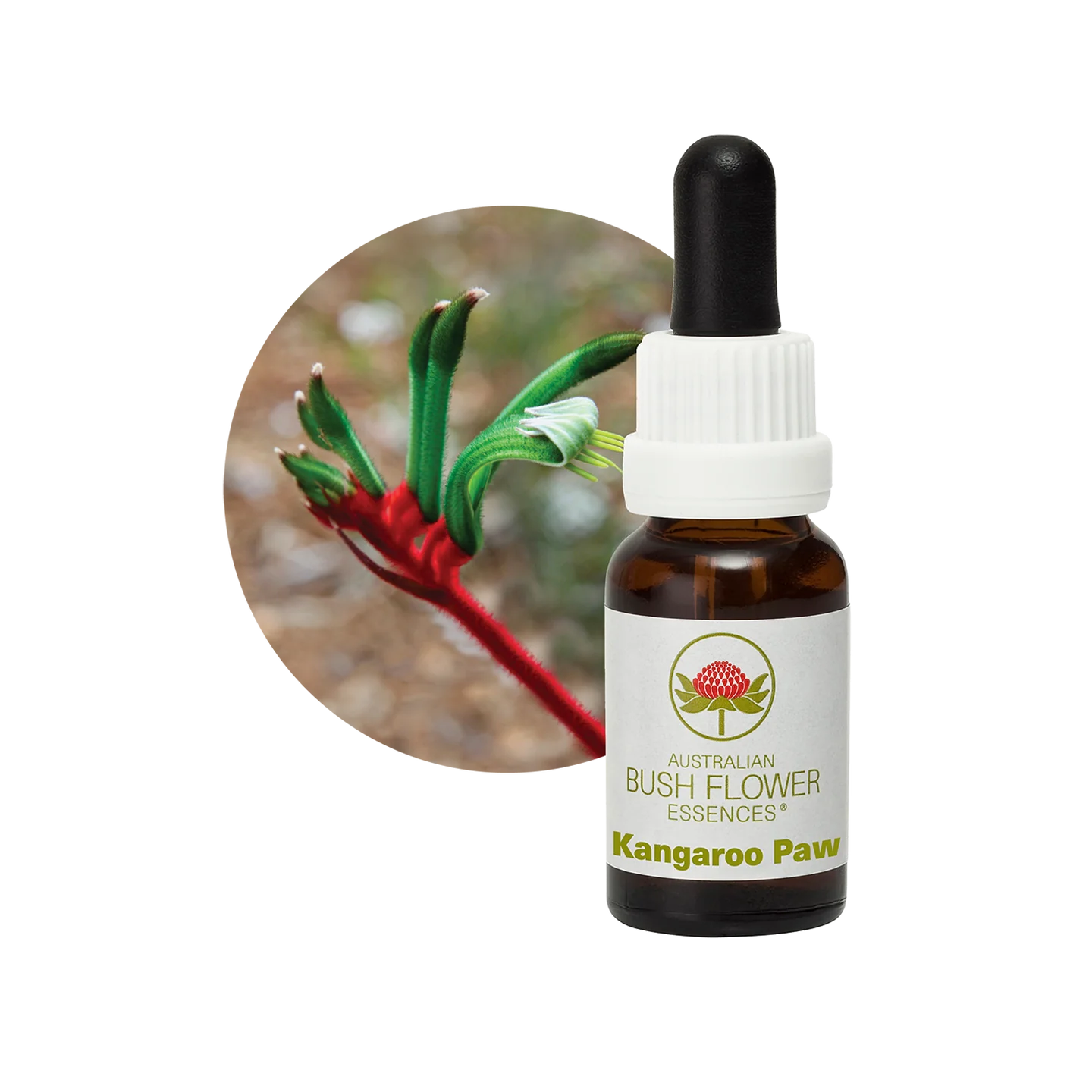 Kangaroo Paw 30ml image 0