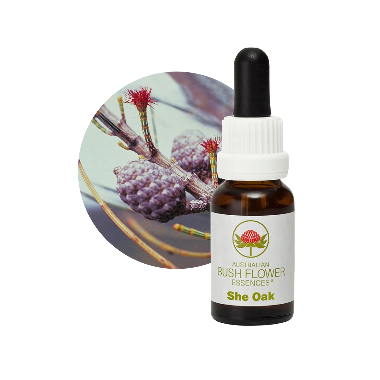 She Oak 30ml image 0