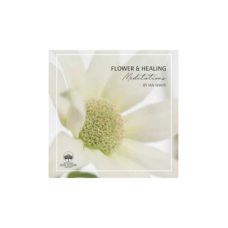 Flower & Healing Meditations CD image 0