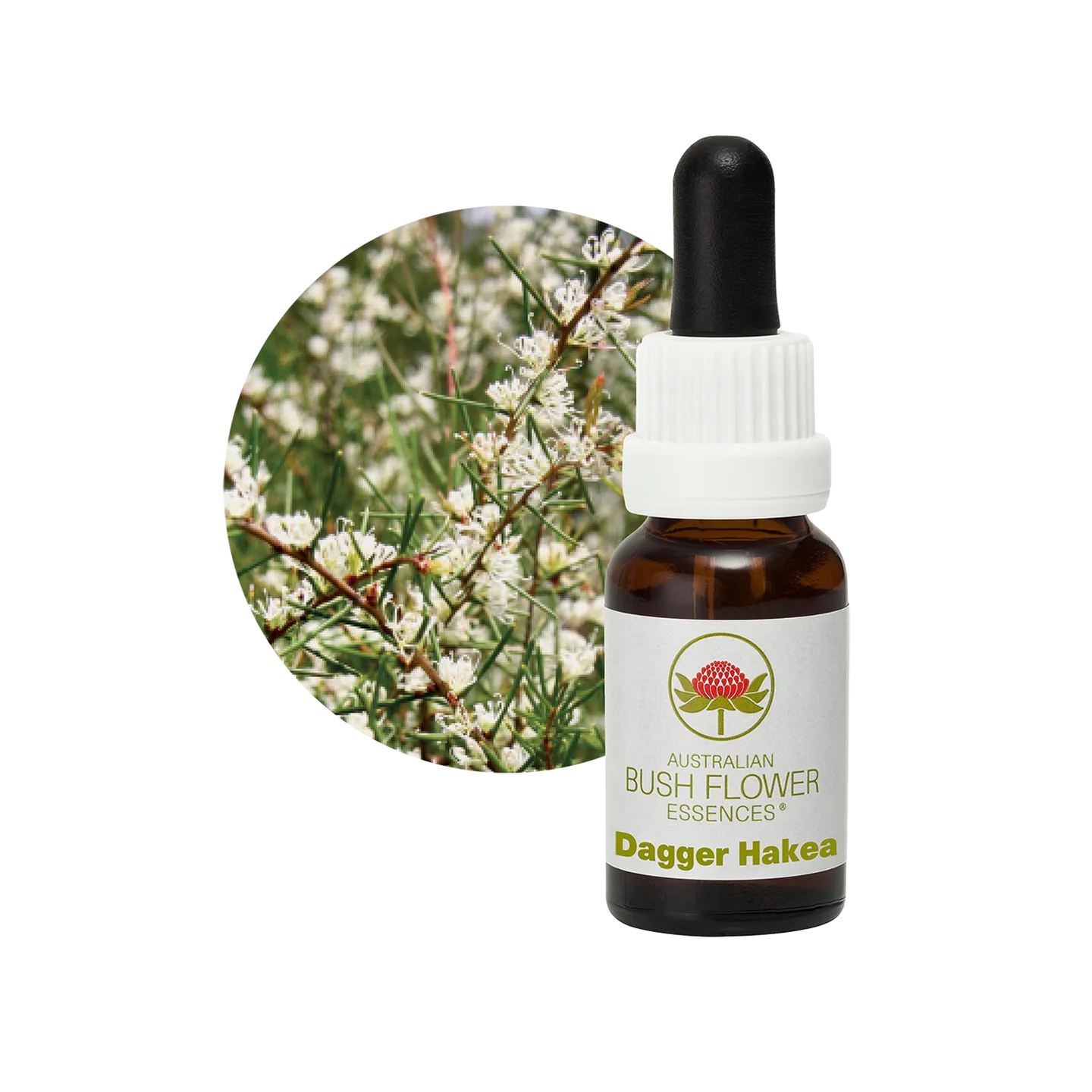 Dagger Hakea 30ml image 0