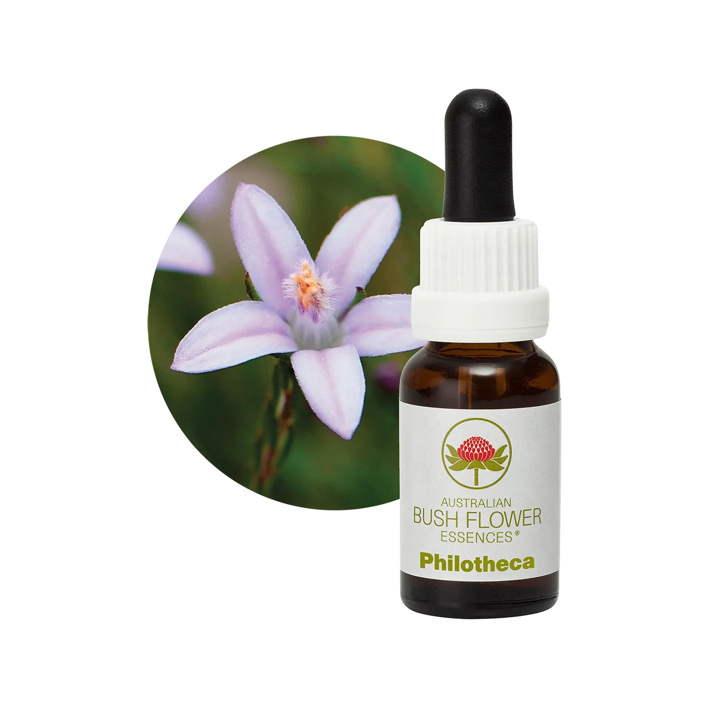 Philotheca 30ml image 0