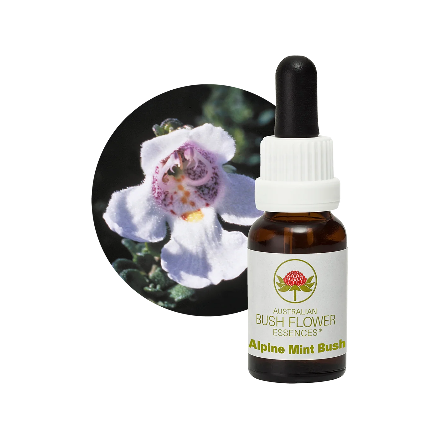 Alpine Bush Mint 30ml image 0
