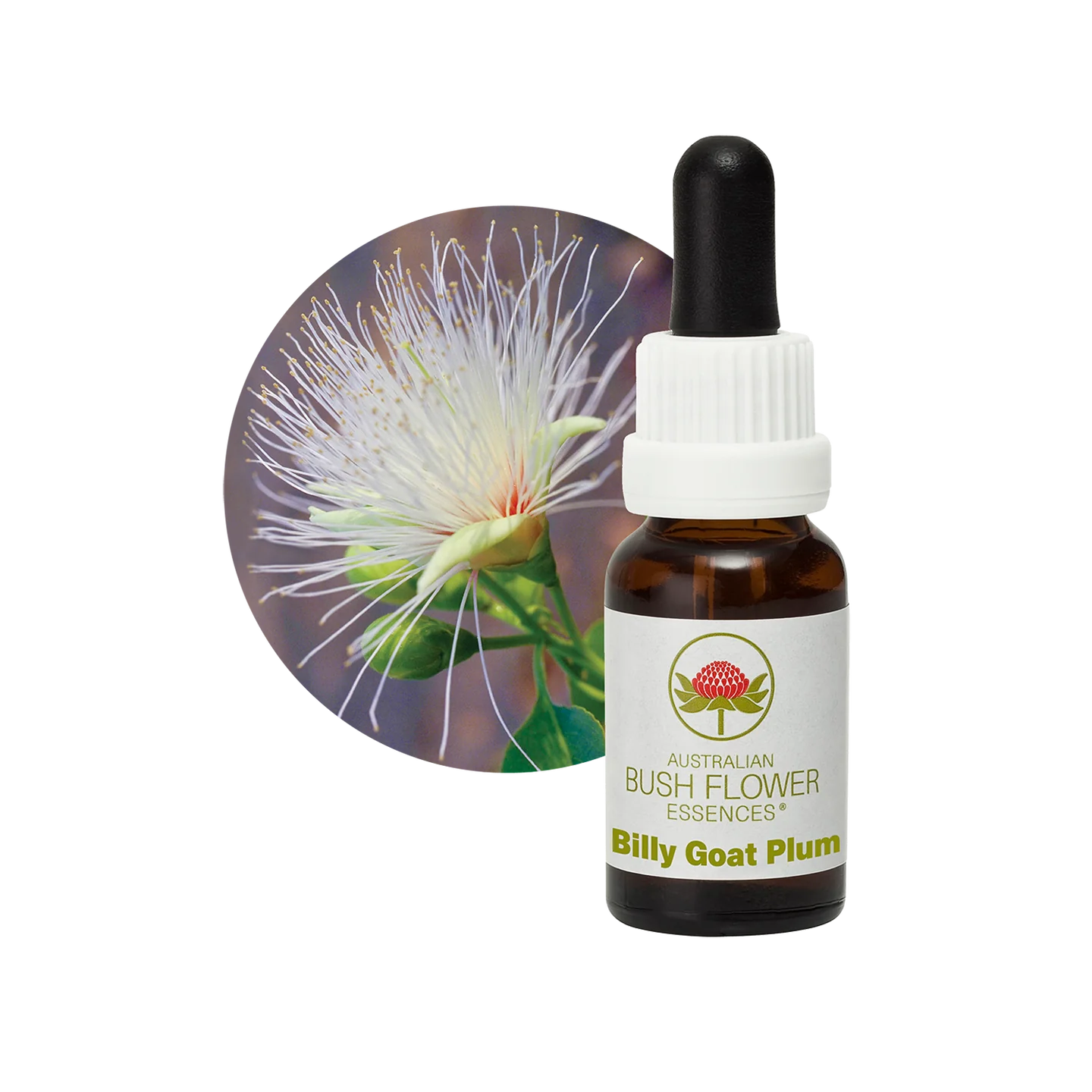 Billy Goat Plum 30ml image 0