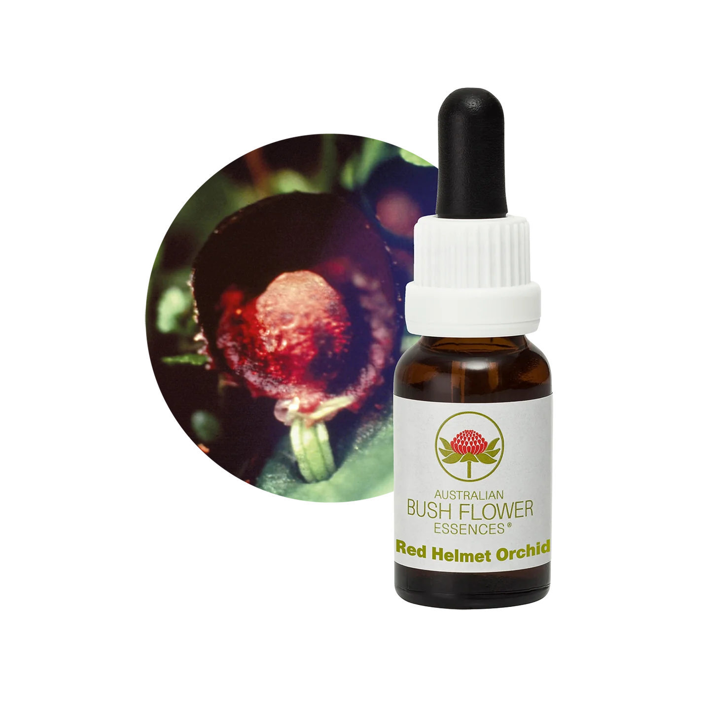 Red Helmet Orchid 30ml image 0