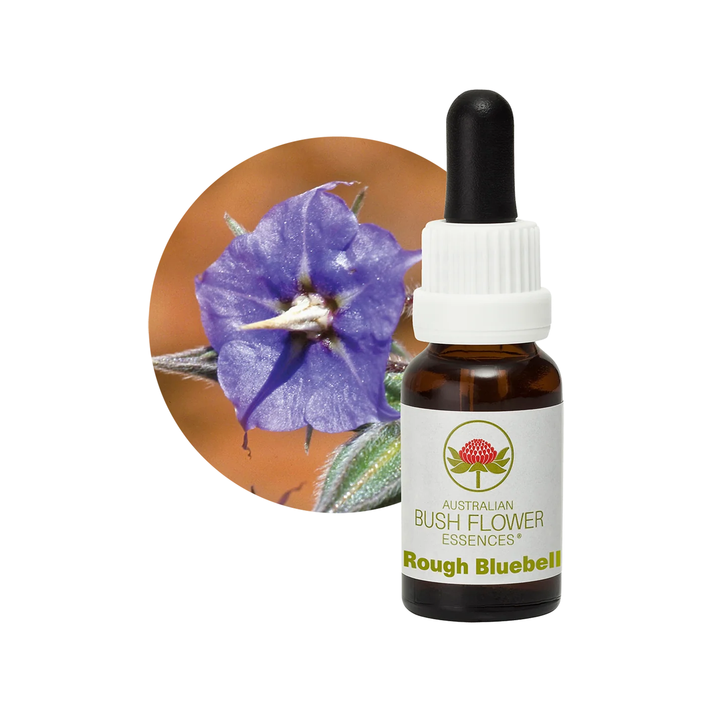 Rough Bluebell 30ml image 0