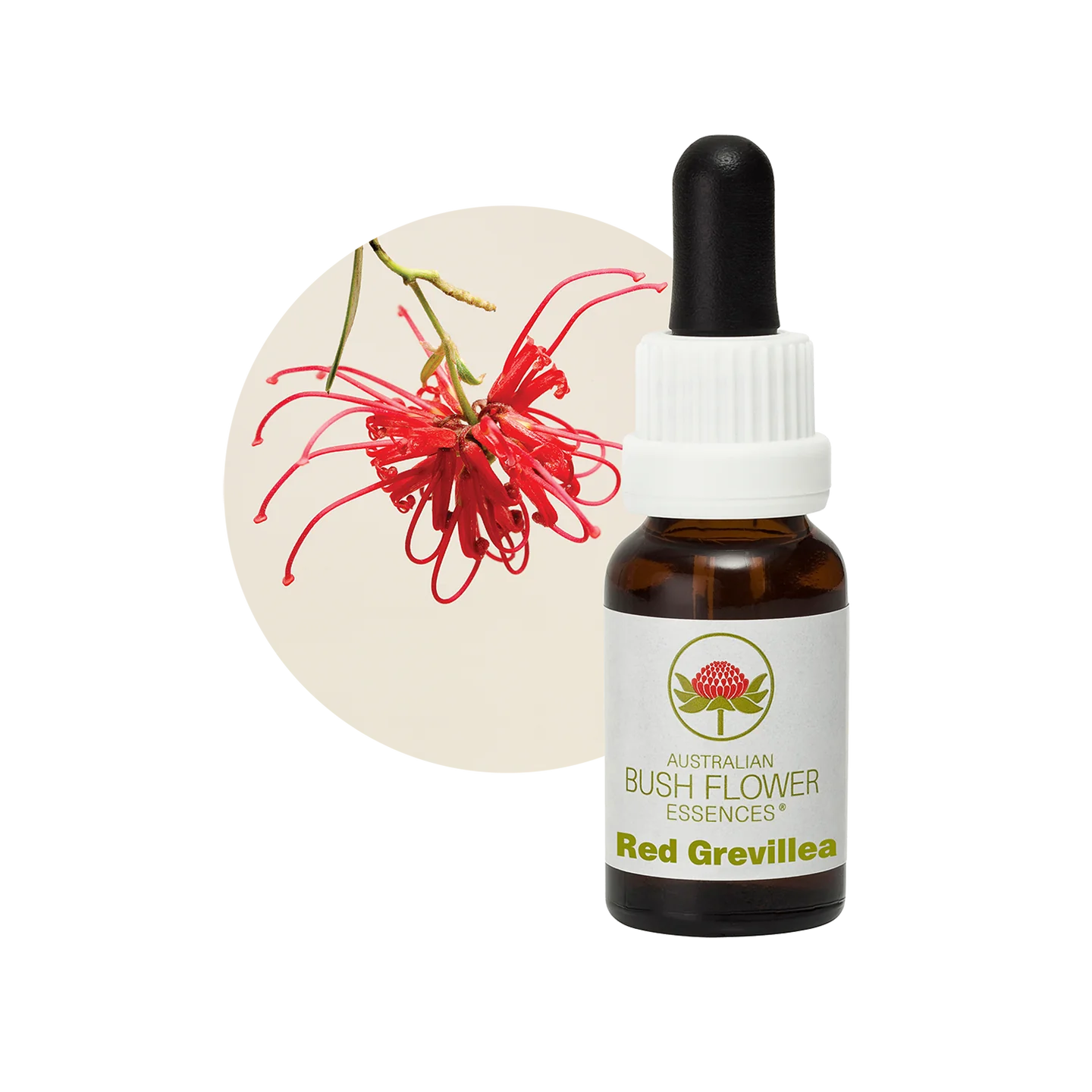Red Grevillea 30ml image 0