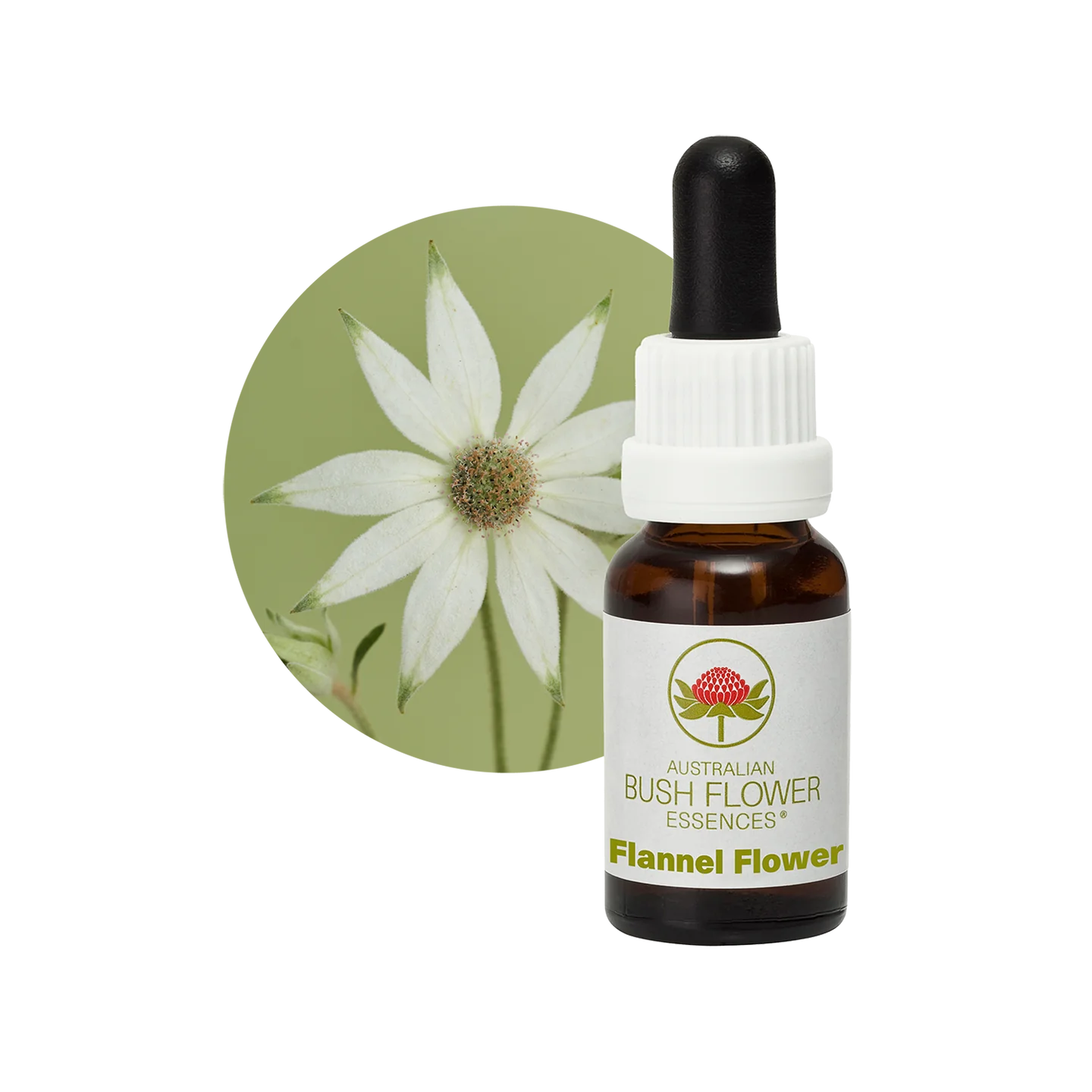 Flannel Flower 30ml image 0