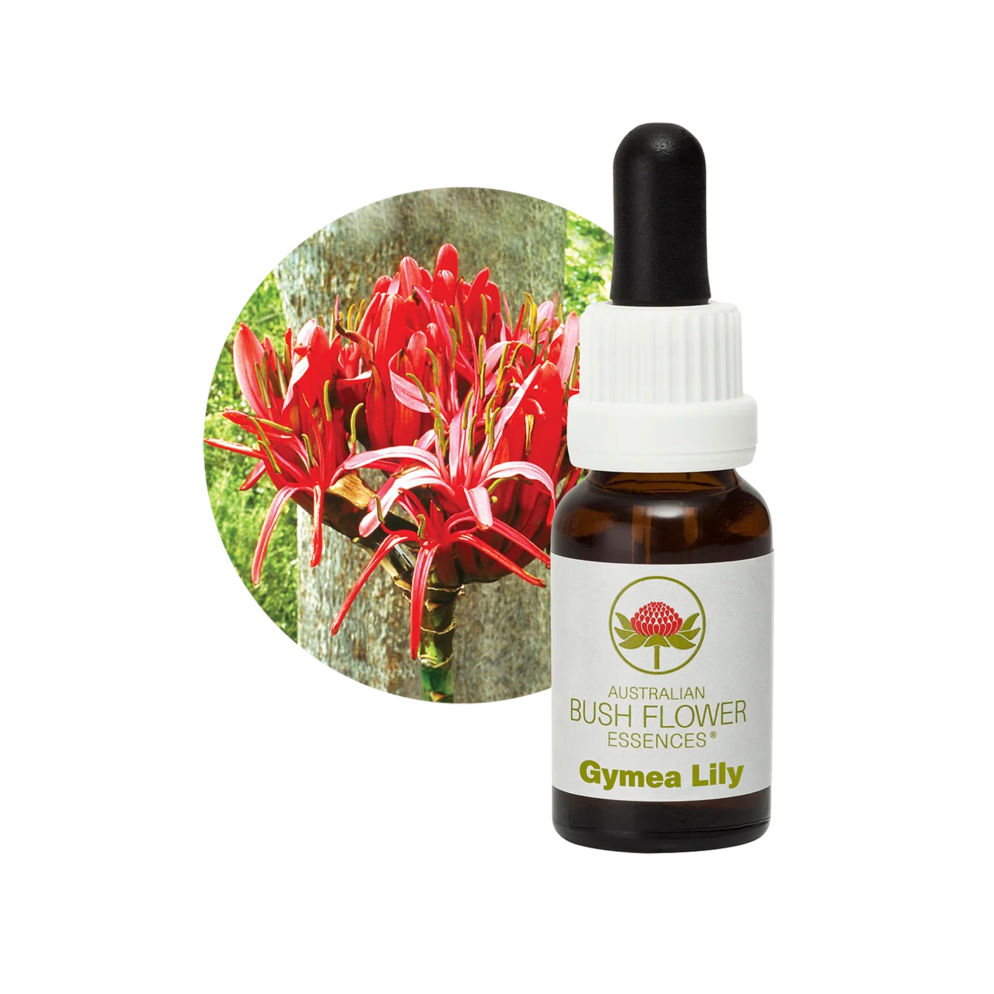 Gymea Lily 30ml image 0