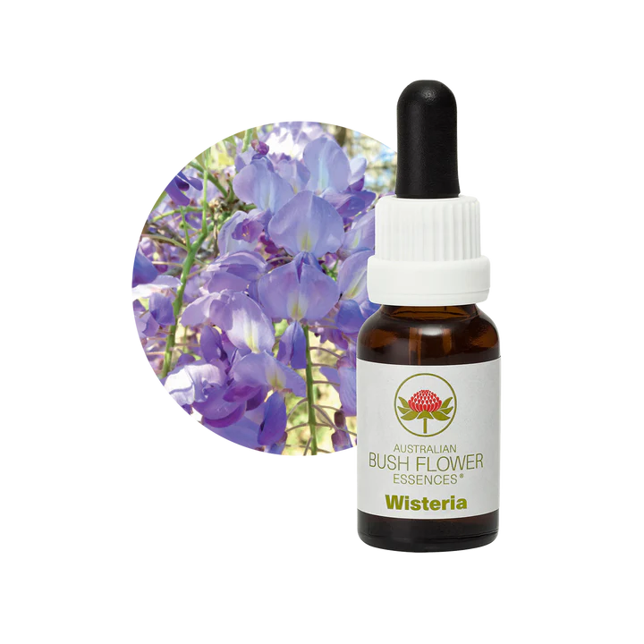 Wisteria 30ml image 0
