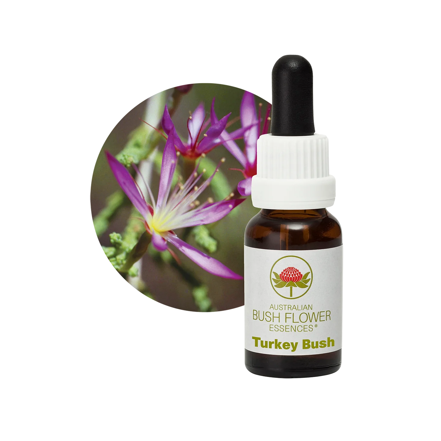 Turkey Bush 30ml image 0