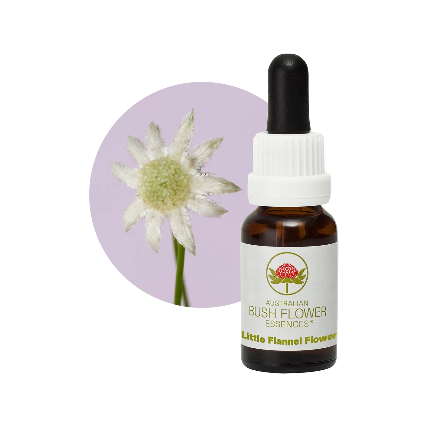 Little Flannel Flower 30ml image 0