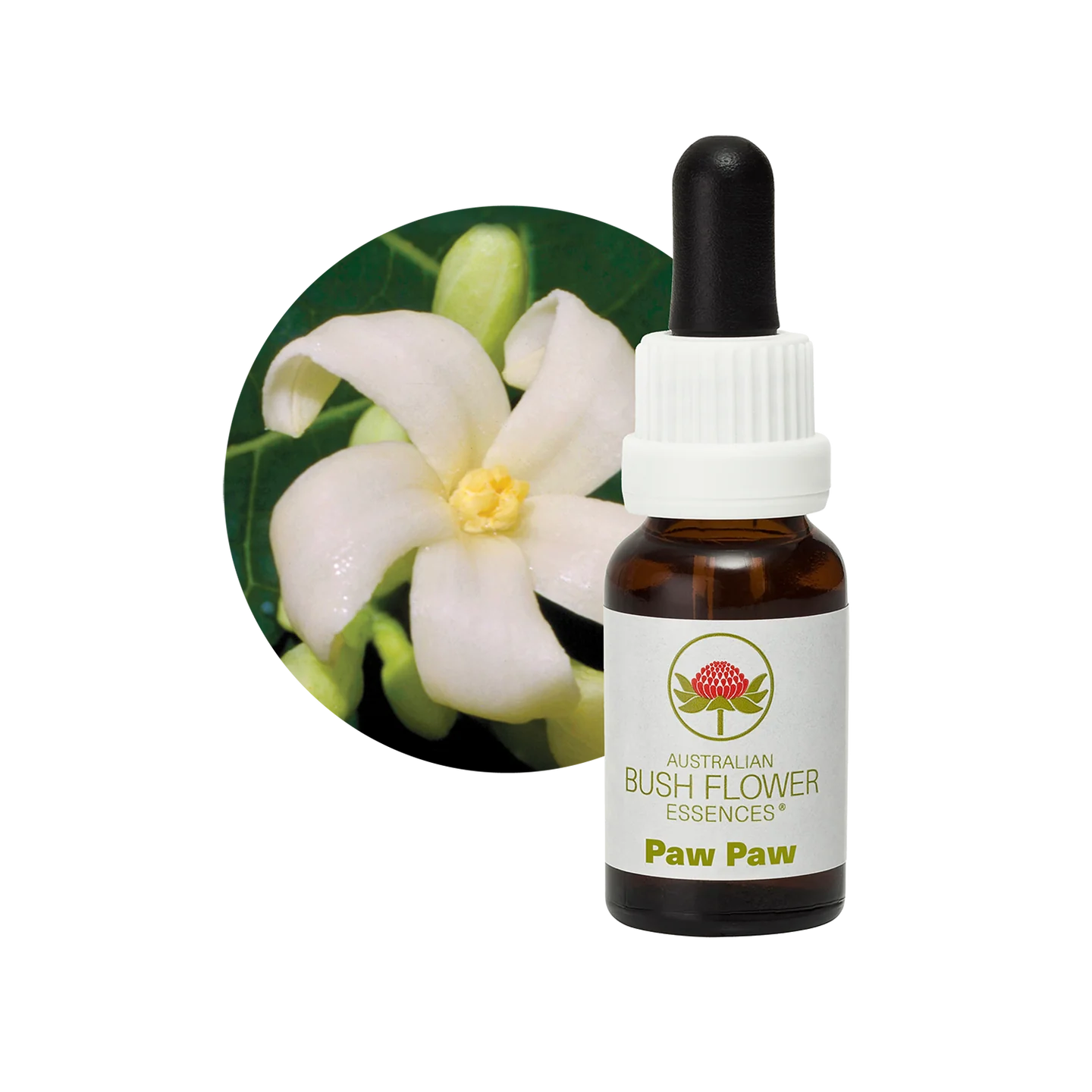 Paw Paw 30ml image 0