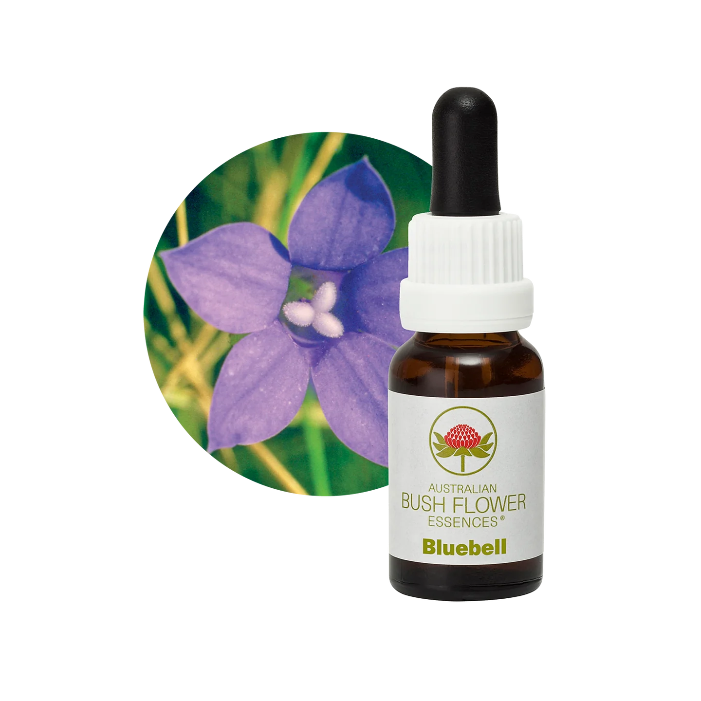 Bluebell 30ml image 0