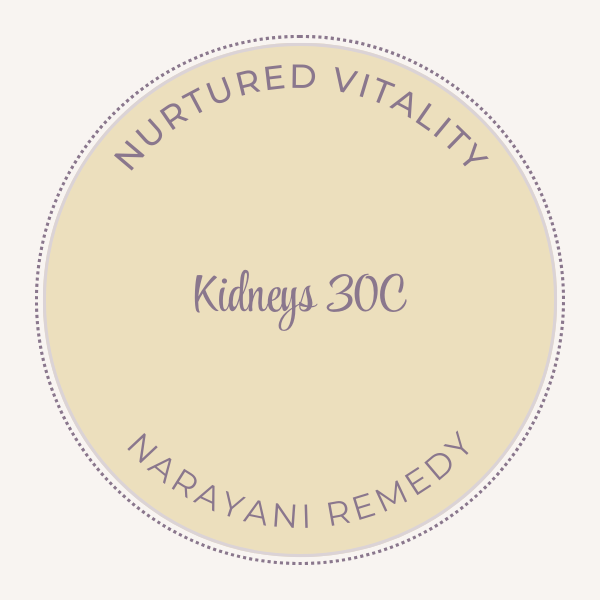 Narayani Kidneys (OM 15) 30C
