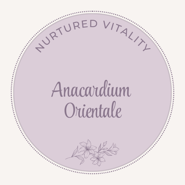 Anacardium Orientale / Semecarpus anacardium