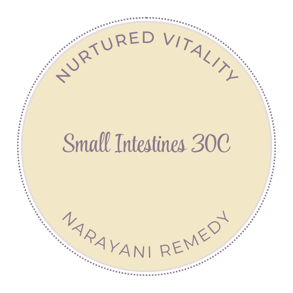 Narayani Small Intestines (OM 14) 30C