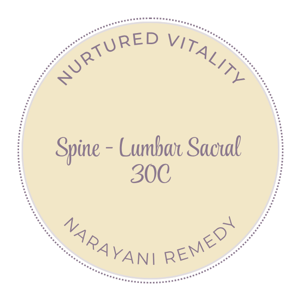 Narayani Spine - Lumbar Sacral (OM 31) 30C