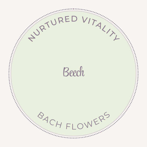 Bach Flower Essence Beech