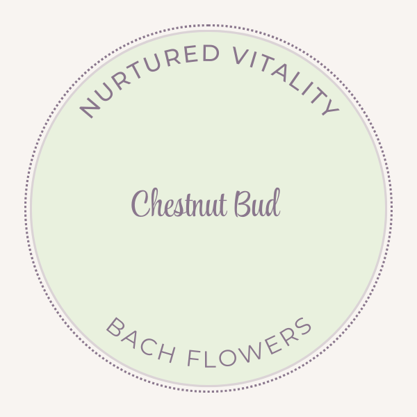 Bach Flower Essence Chestnut Bud