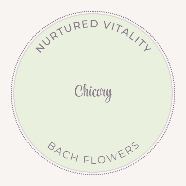 Bach Flower Essence Chicory