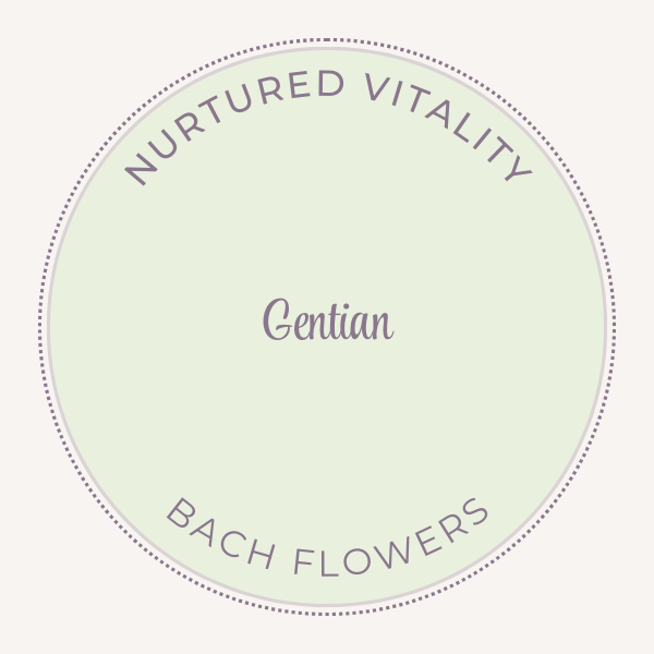 Bach Flower Essence Gentian