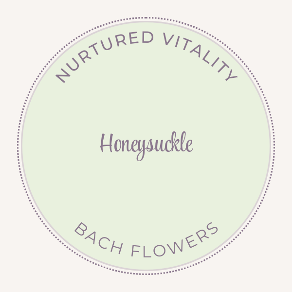 Bach Flower Essence Honeysuckle