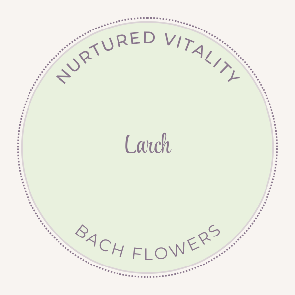 Bach Flower Essence Larch