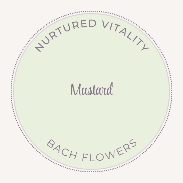 Bach Flower Essence Mustard