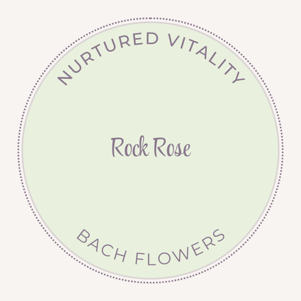 Bach Flower Essence Rock Rose