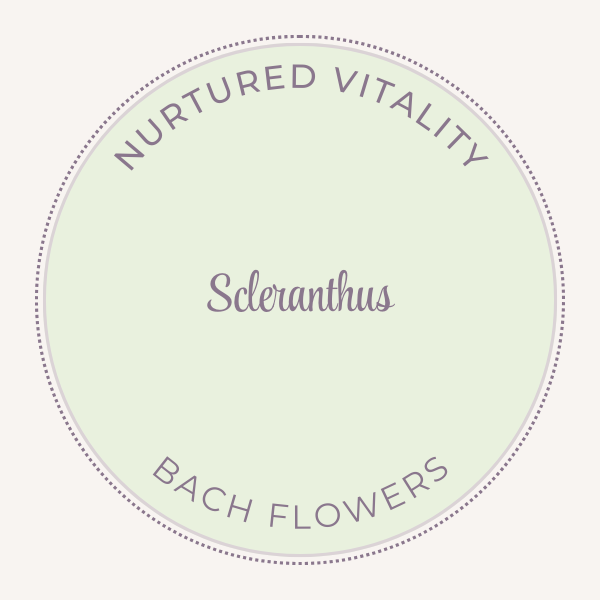 Bach Flower Essence Scleranthus