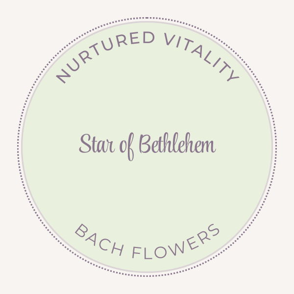 Bach Flower Essence Star of Bethlehem