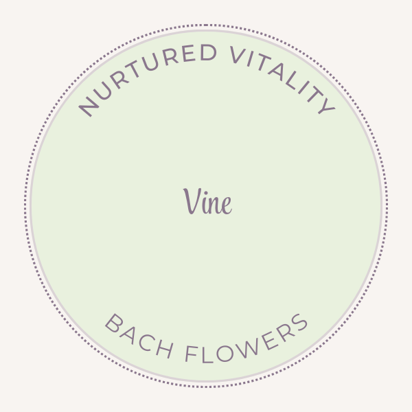 Bach Flower Essence Vine