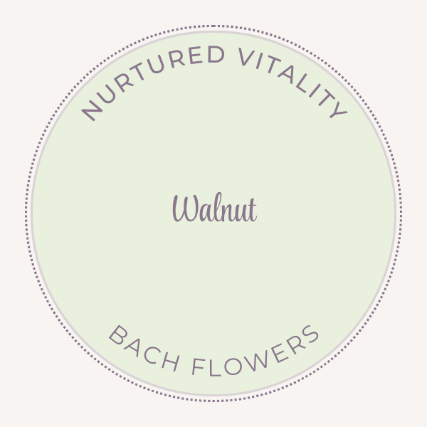 Bach Flower Essence Walnut