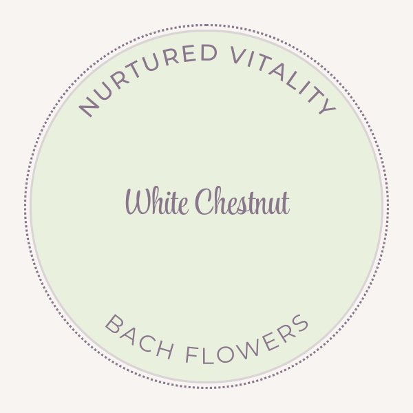 Bach Flower Essence White Chestnut