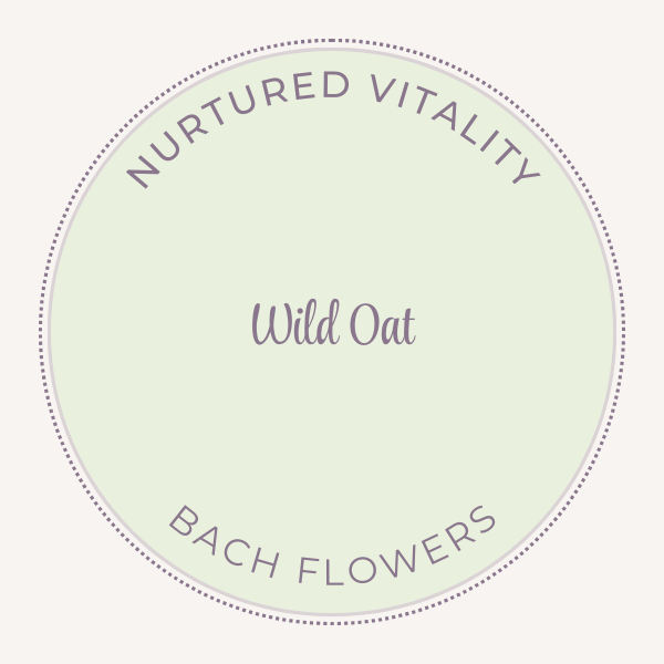 Bach Flower Essence Wild Oat