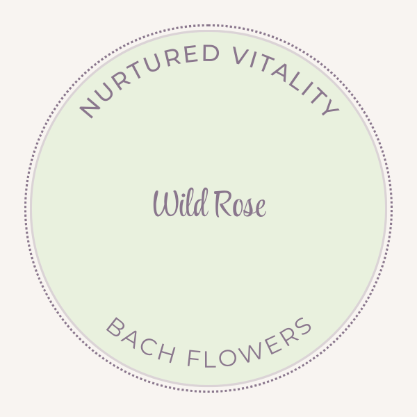 Bach Flower Essence Wild Rose