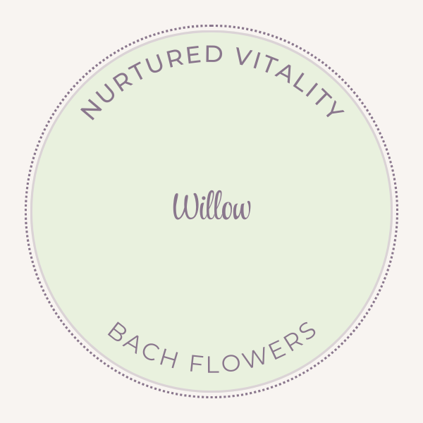 Bach Flower Essence Willow