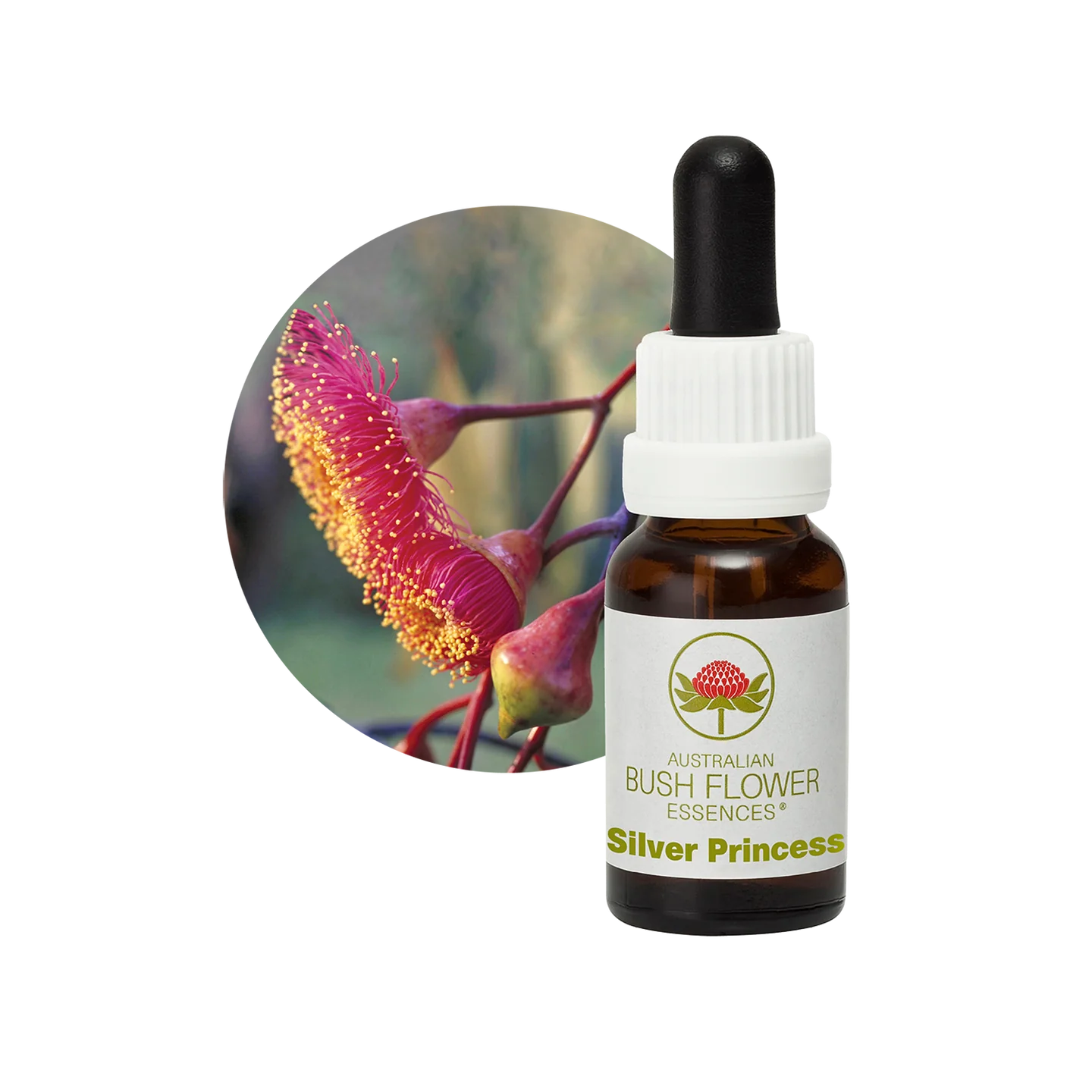 Silver Princess 30ml image 0