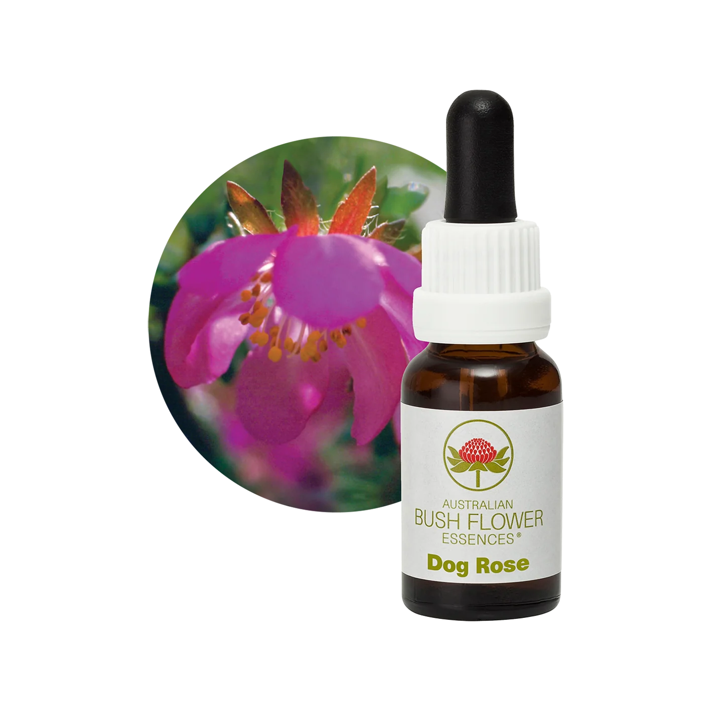 Dog Rose 30ml image 0