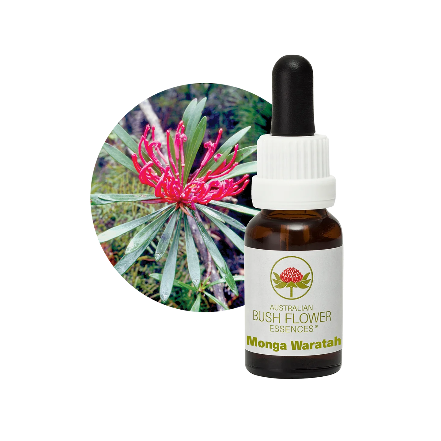 Monga Waratah 30ml image 0