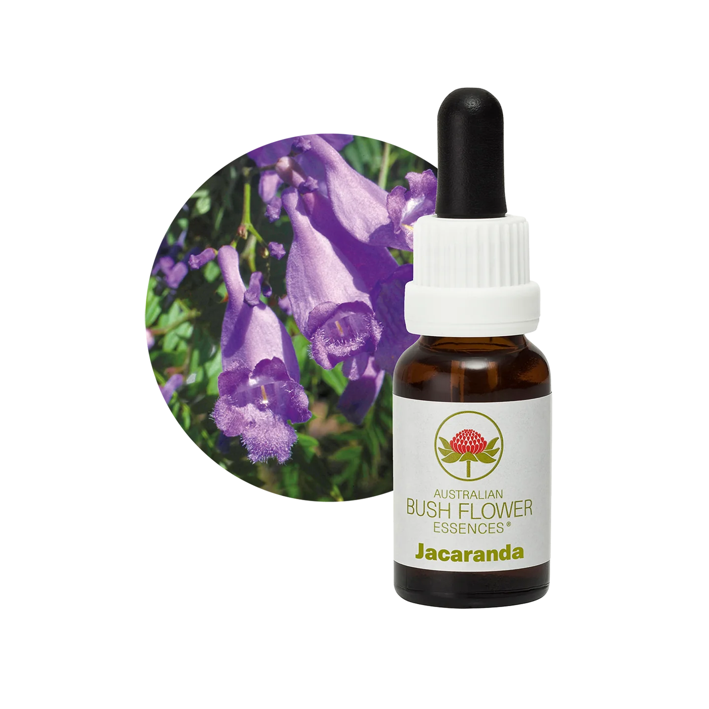 Jacaranda 30ml image 0