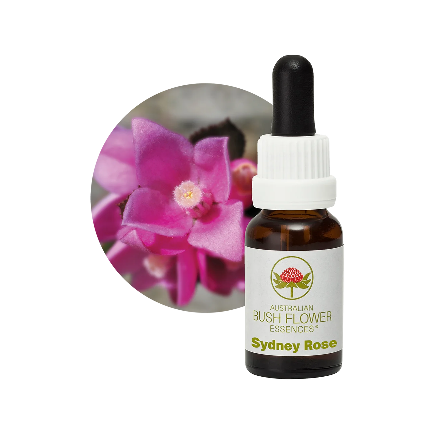 Sydney Rose 30ml image 0