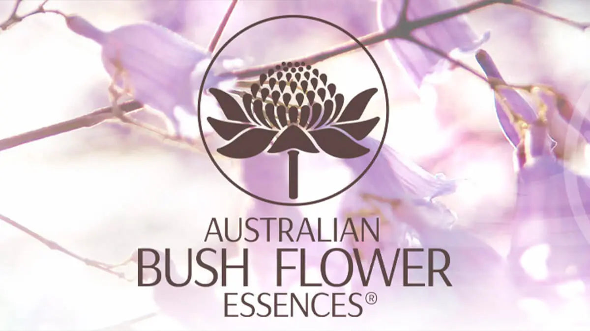 Australian Bush Flower Consultation