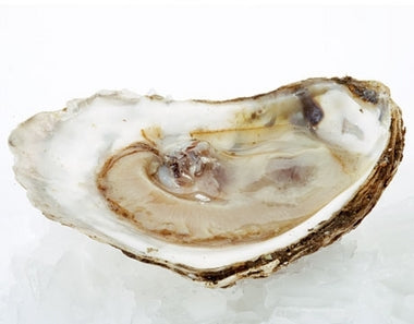 Calcarea carbonica
