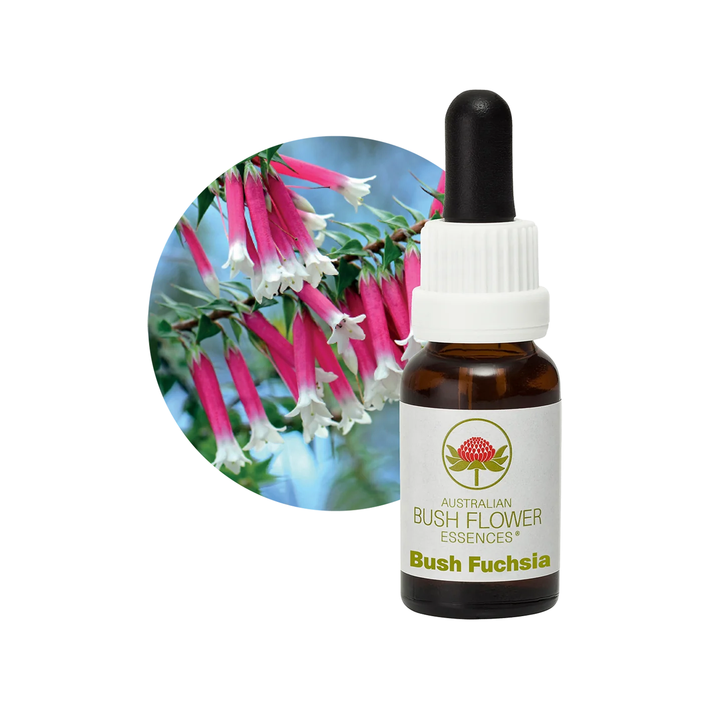 Bush Fuchsia 30ml image 0