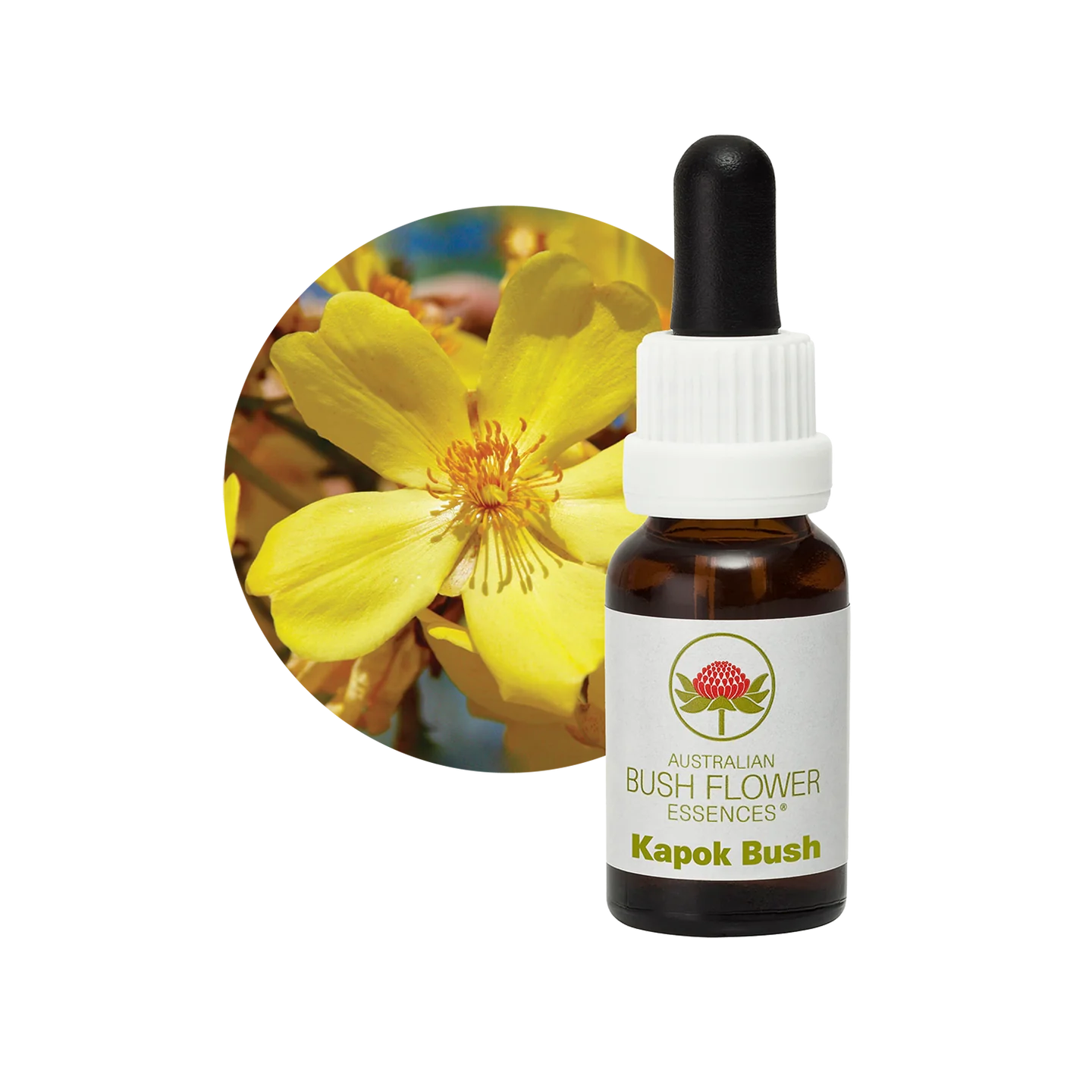 Kapok Bush 30ml image 0